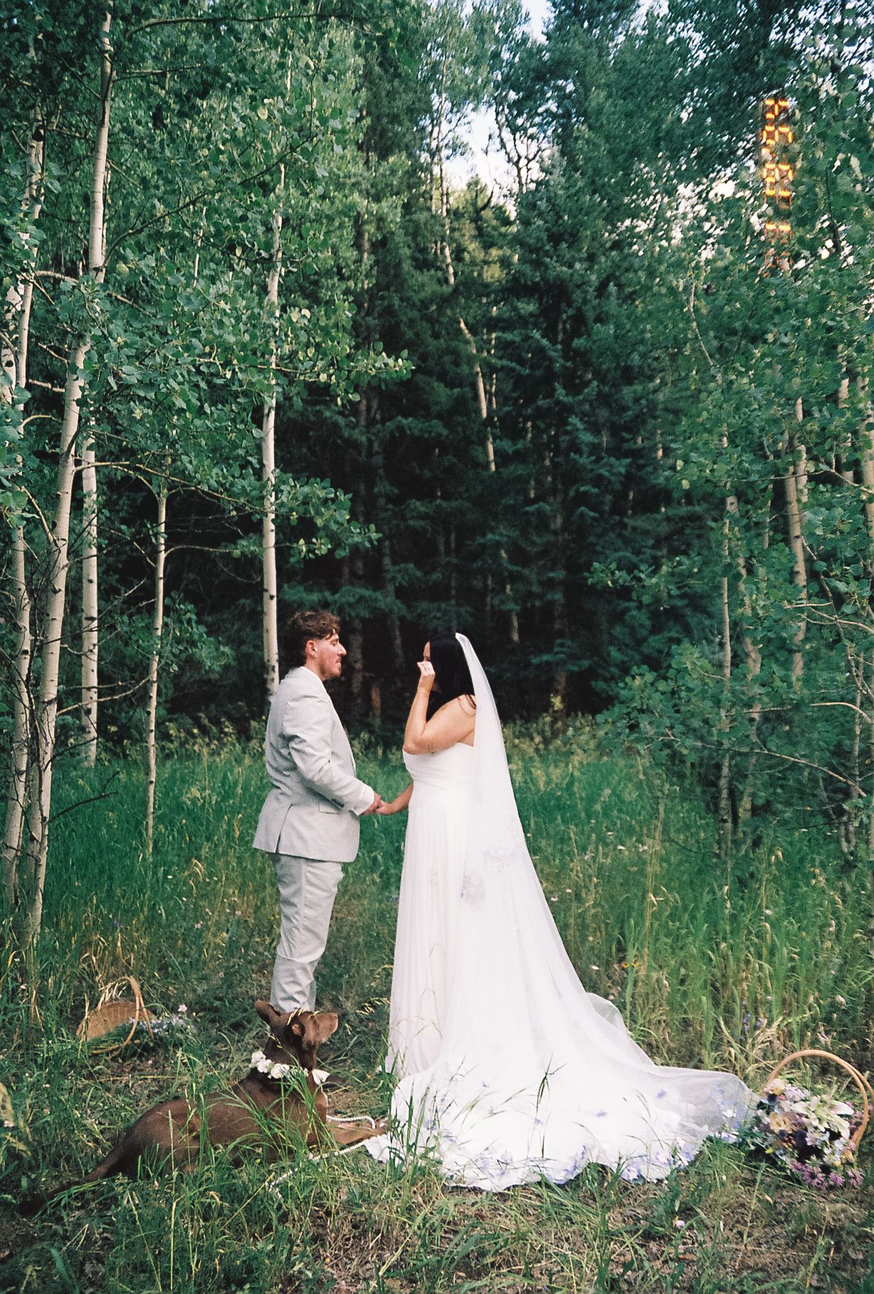 Bride and groom exchanging vows in lush forest clearing surrounded by aspen trees.