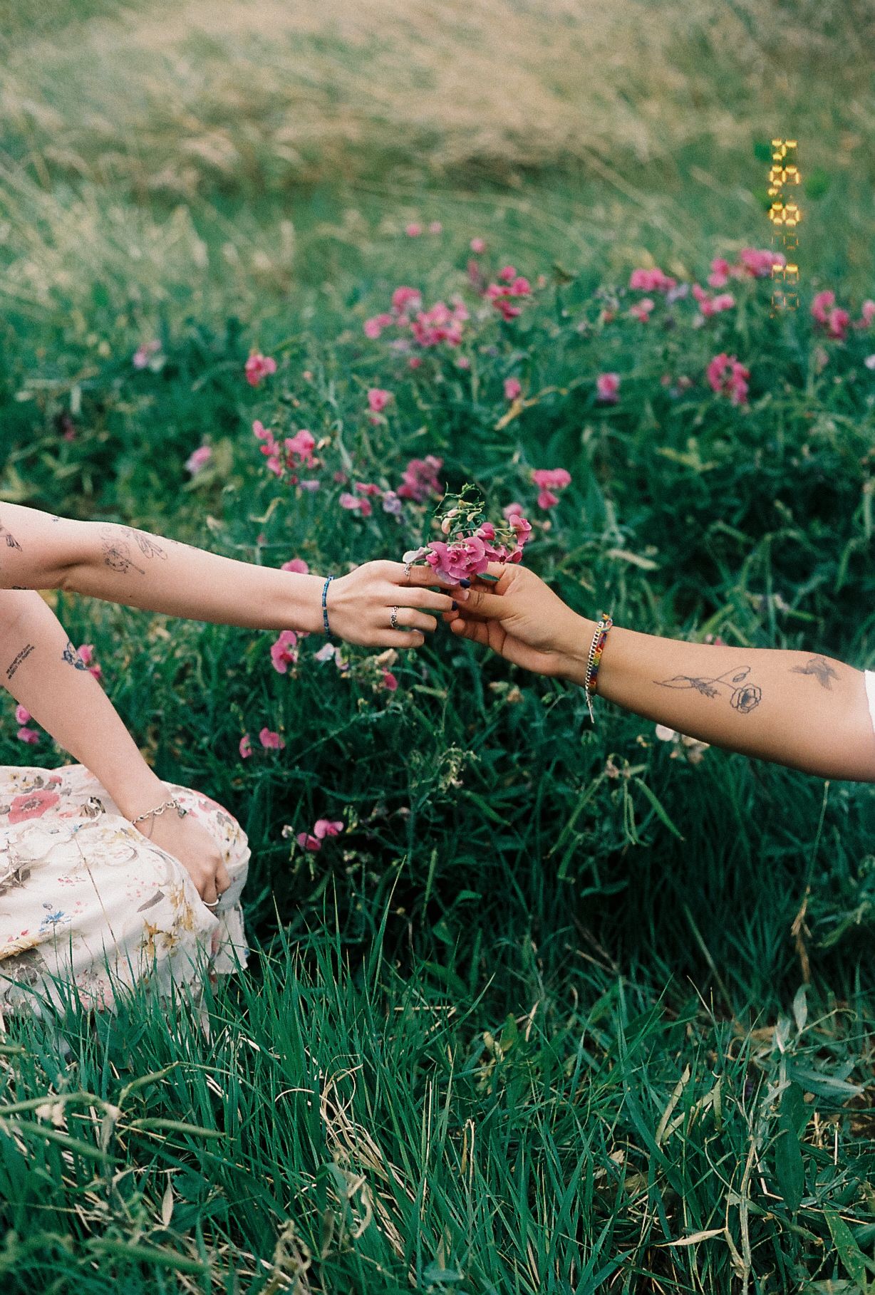 Two tattooed hands exchanging pink wildflowers in a lush green meadow, wearing bracelets and rings.