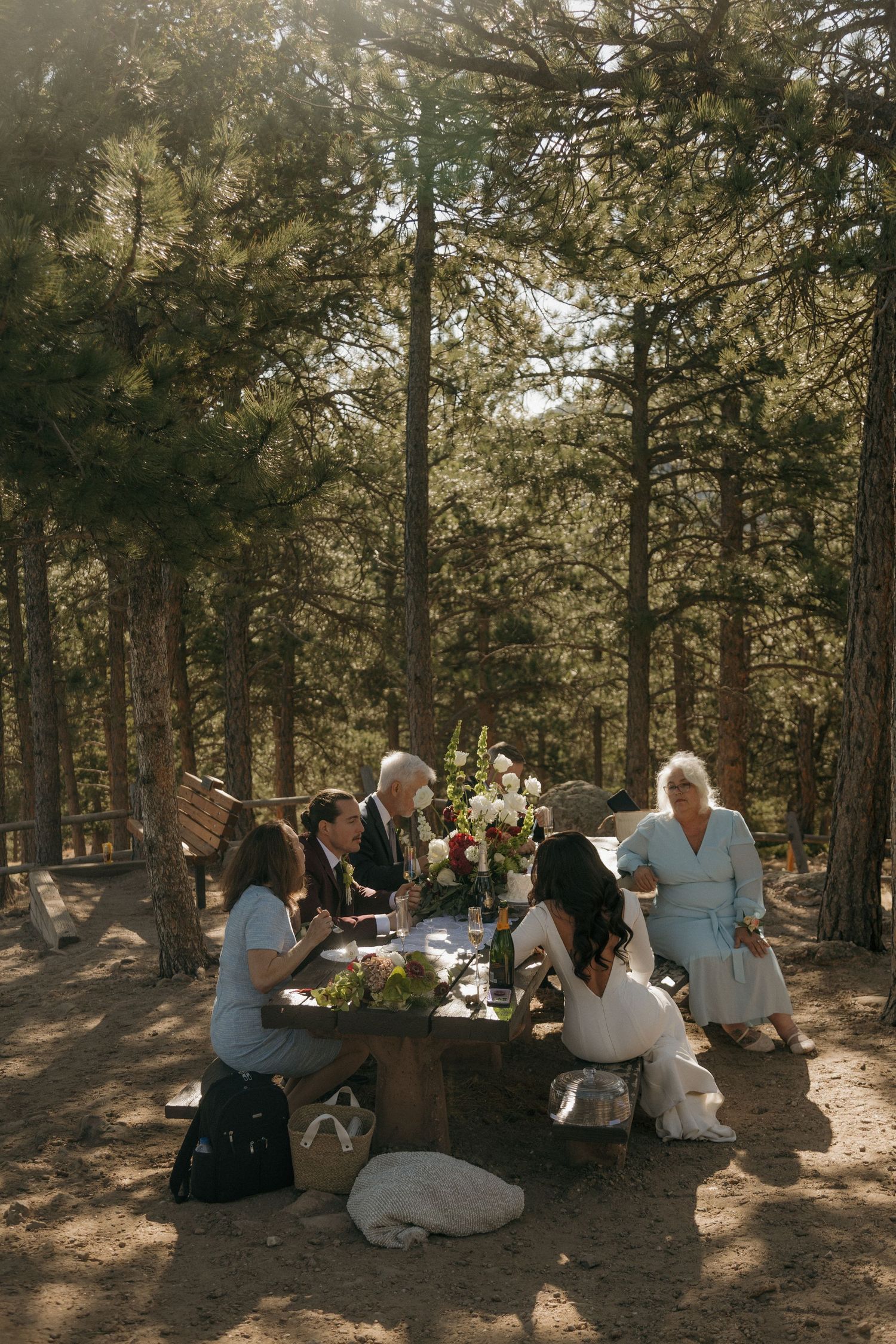 Small intimate wedding reception group gathered around rustic table in sunlit pine forest setting.