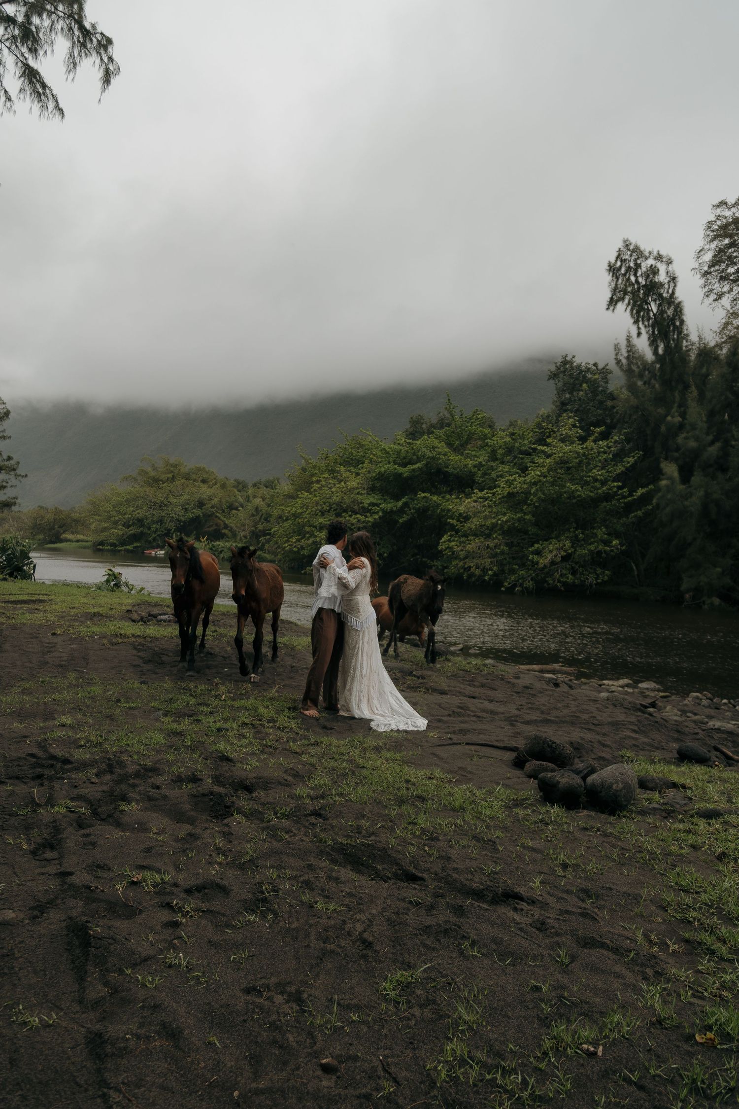 Couple embracing near brown horses on black sand with misty green mountains in background during elopement.
