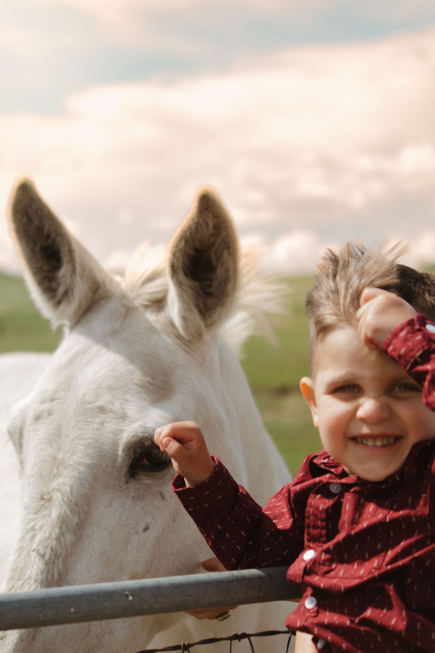 A playful interaction between a white horse and someone in a burgundy top against a cloudy sky background.