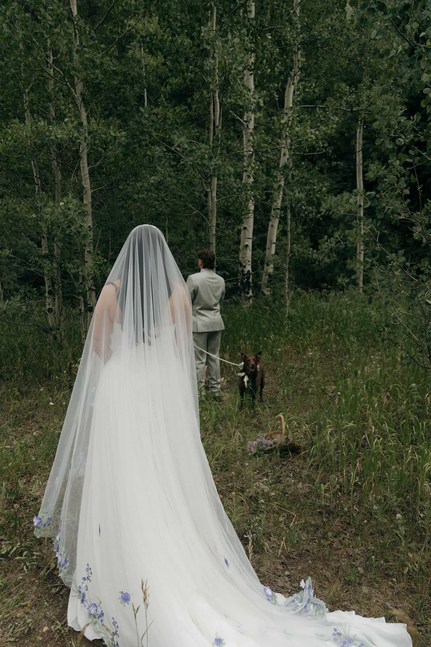 Rear view of bride in white gown with blue floral veil walking toward groom and dog in forest.
