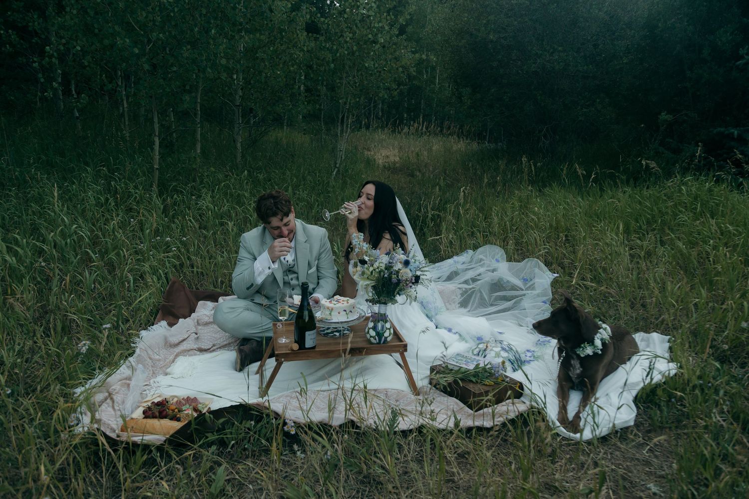 Bride and groom enjoy a romantic outdoor picnic on white blanket in a meadow with their dog nearby.