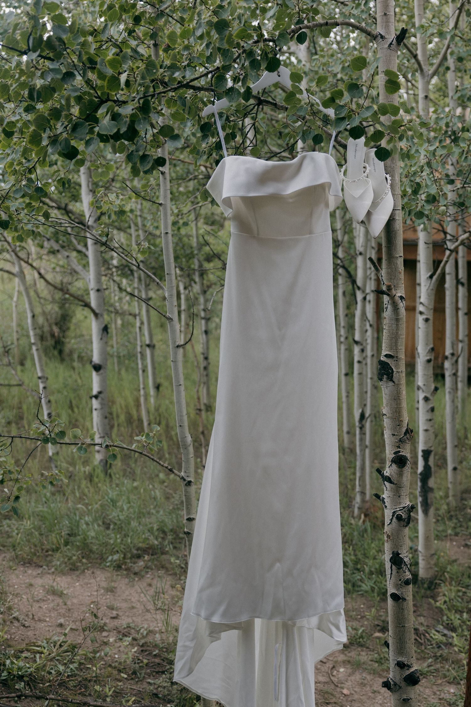 White wedding dress hanging from aspen tree branches in a serene forest setting.