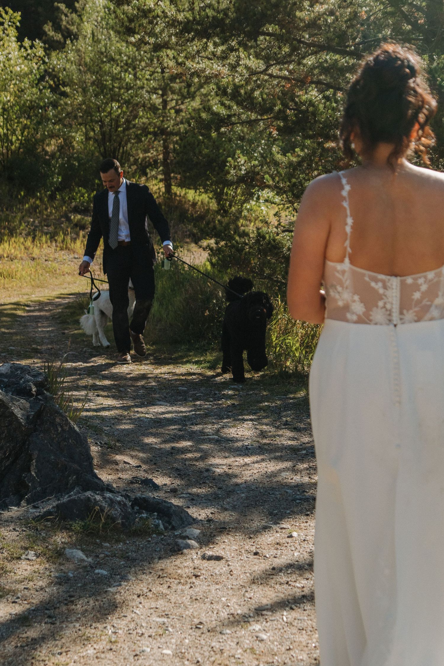 A scenic wedding photo on a mountain trail with the bride's flowing white dress and groom in a dark suit.