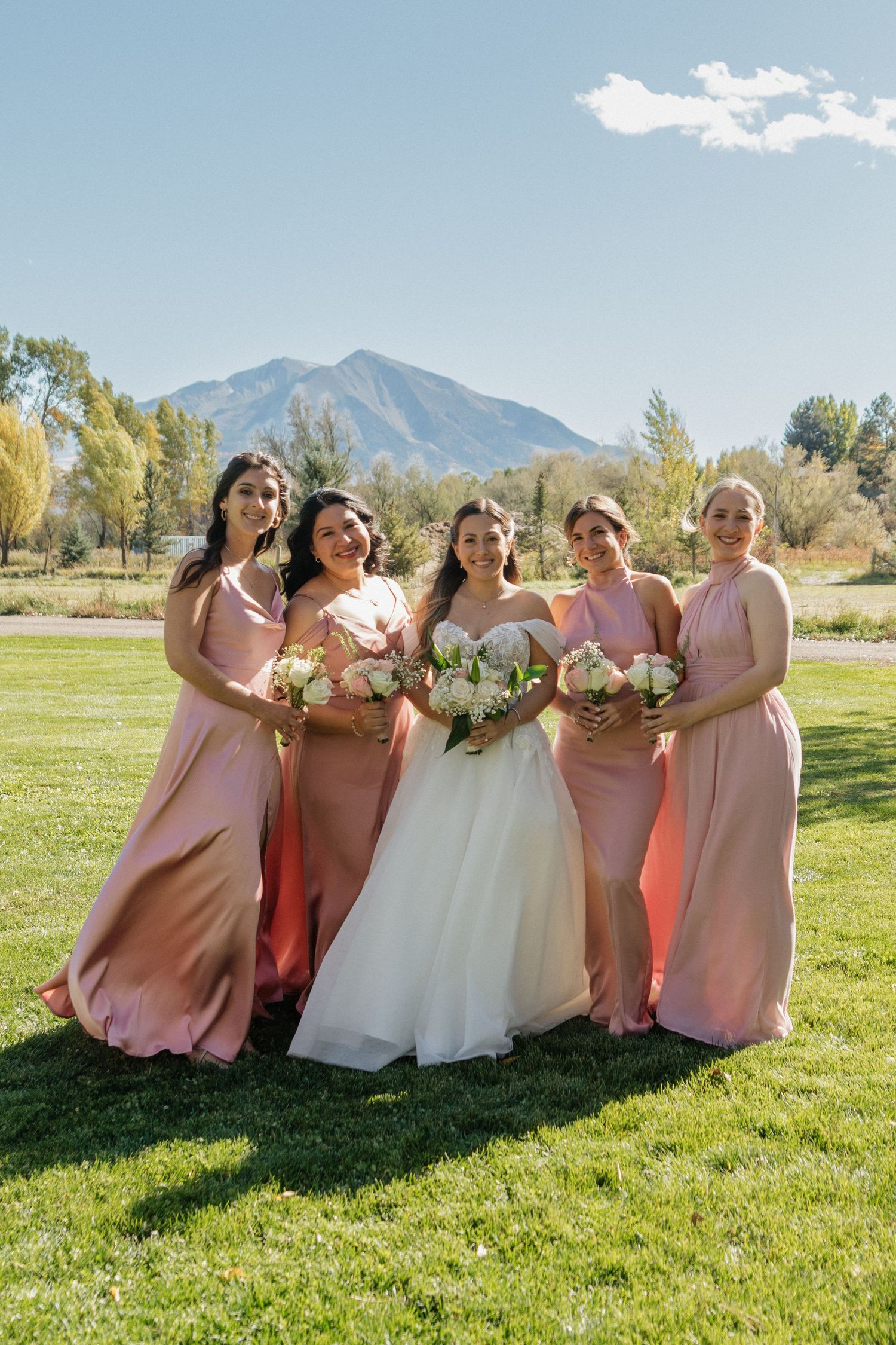 Wedding party in pink bridesmaid dresses pose on grassy lawn with mountain backdrop on sunny day.
