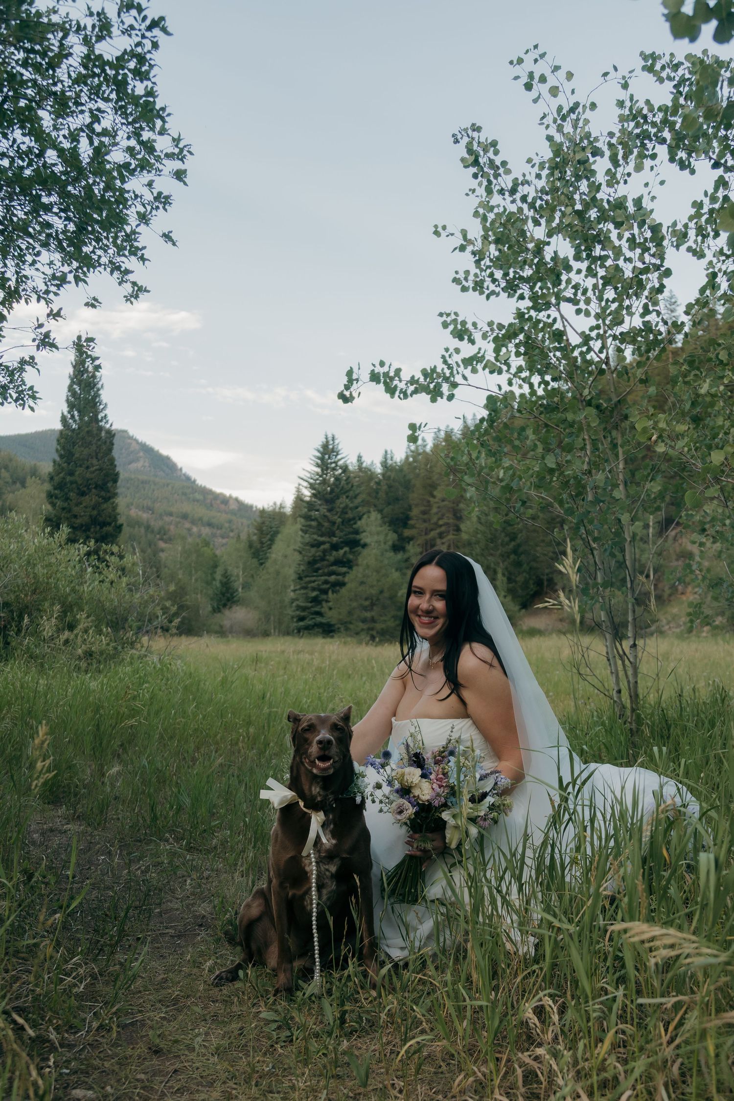 Bride in white gown and veil poses with chocolate Labrador in a scenic mountain meadow landscape.