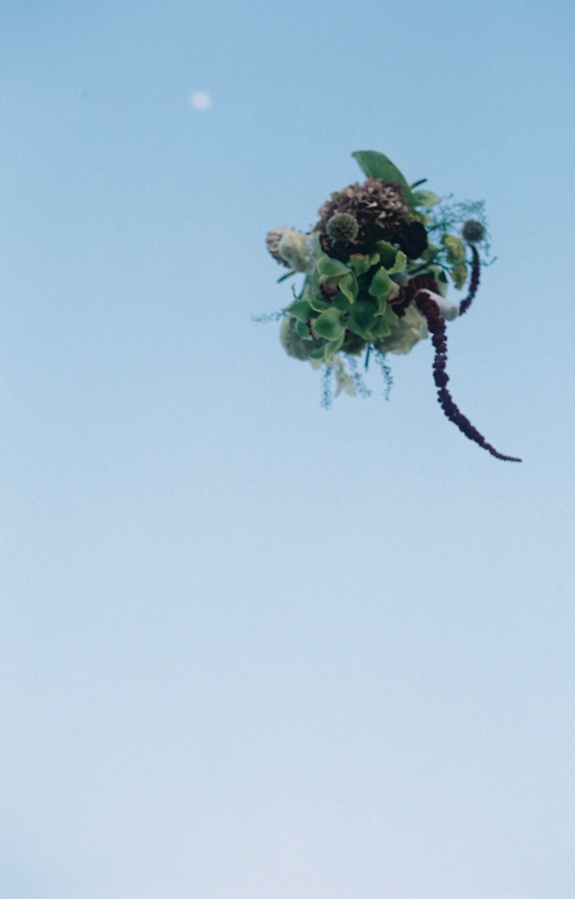 Bridal bouquet of green and dark flowers tossed against clear blue sky with faint moon visible.