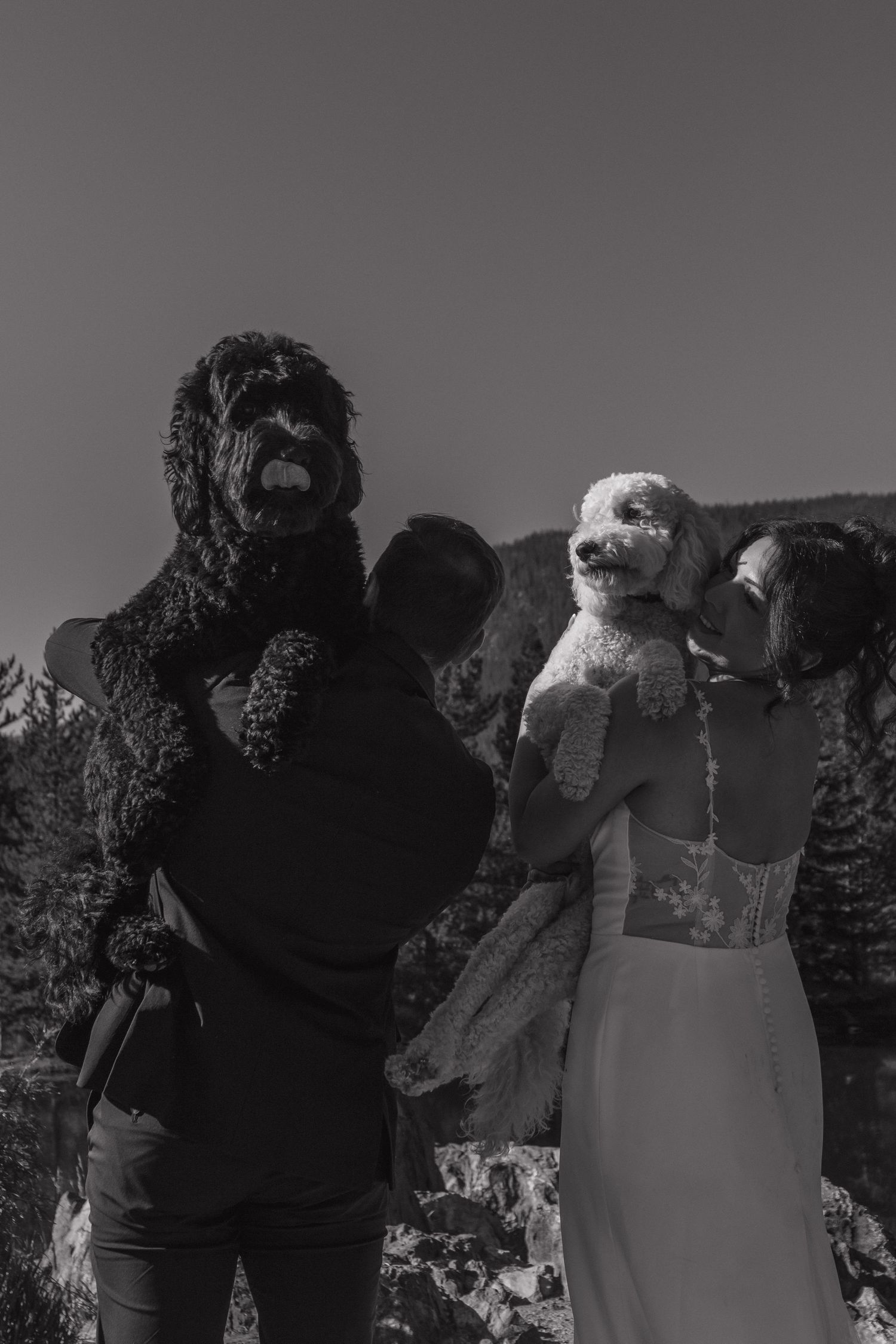 Black and white wedding party group photo with mountain scenery.