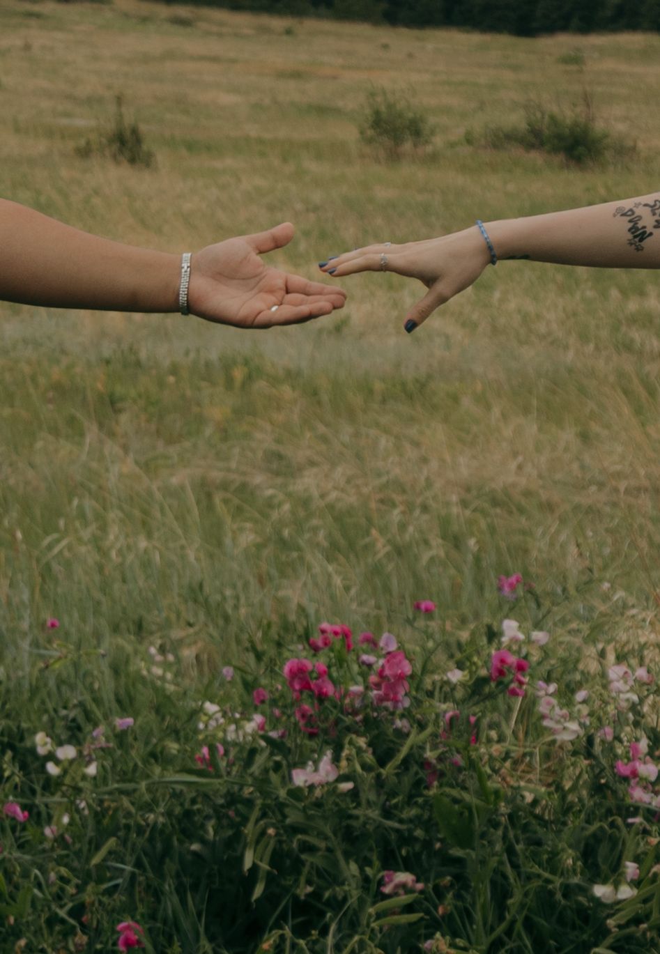 Two hands reaching toward each other over wildflowers in a green meadow, one with a tattoo and bracelet.