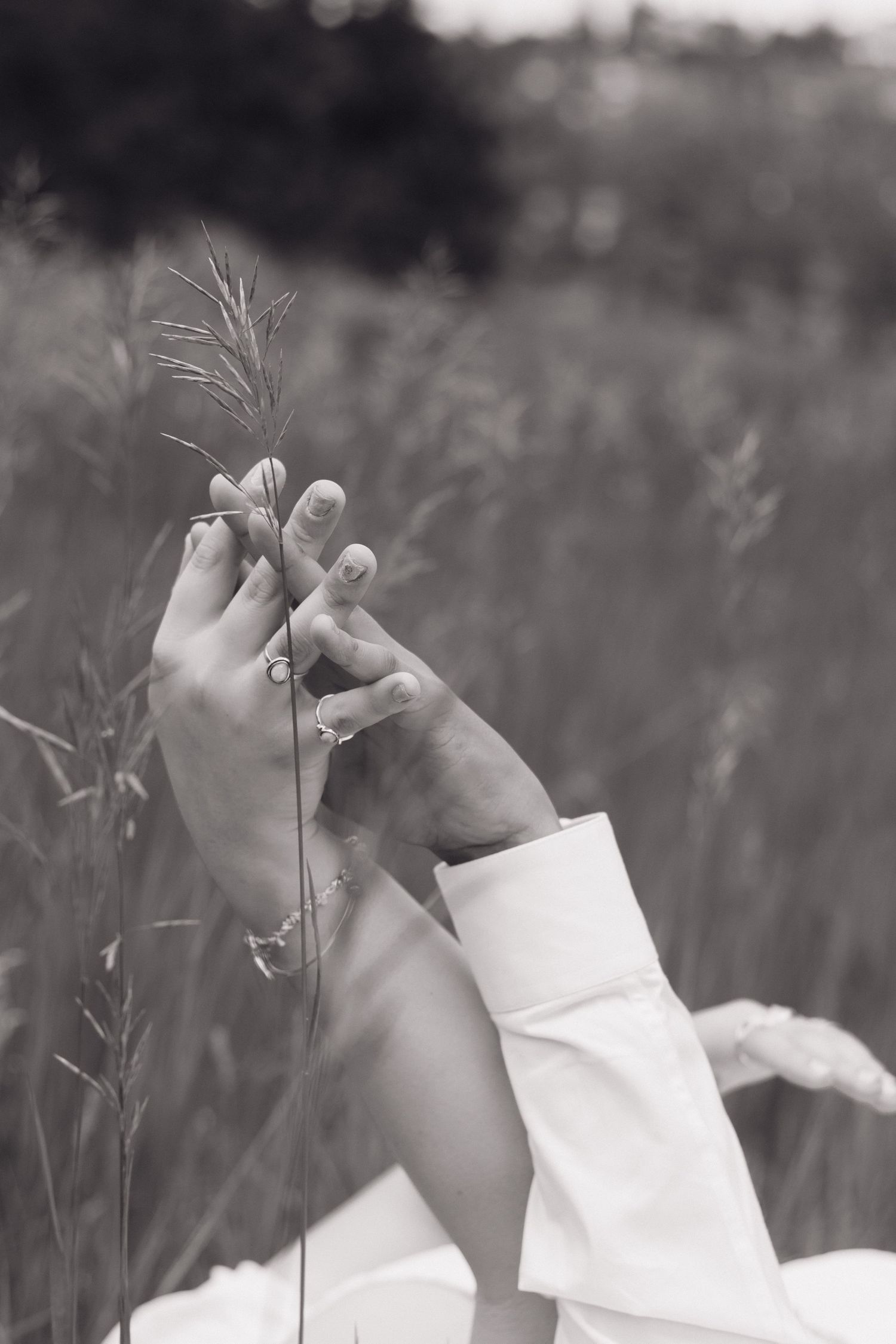 Black and white photo of hands gently touching tall grass stems.