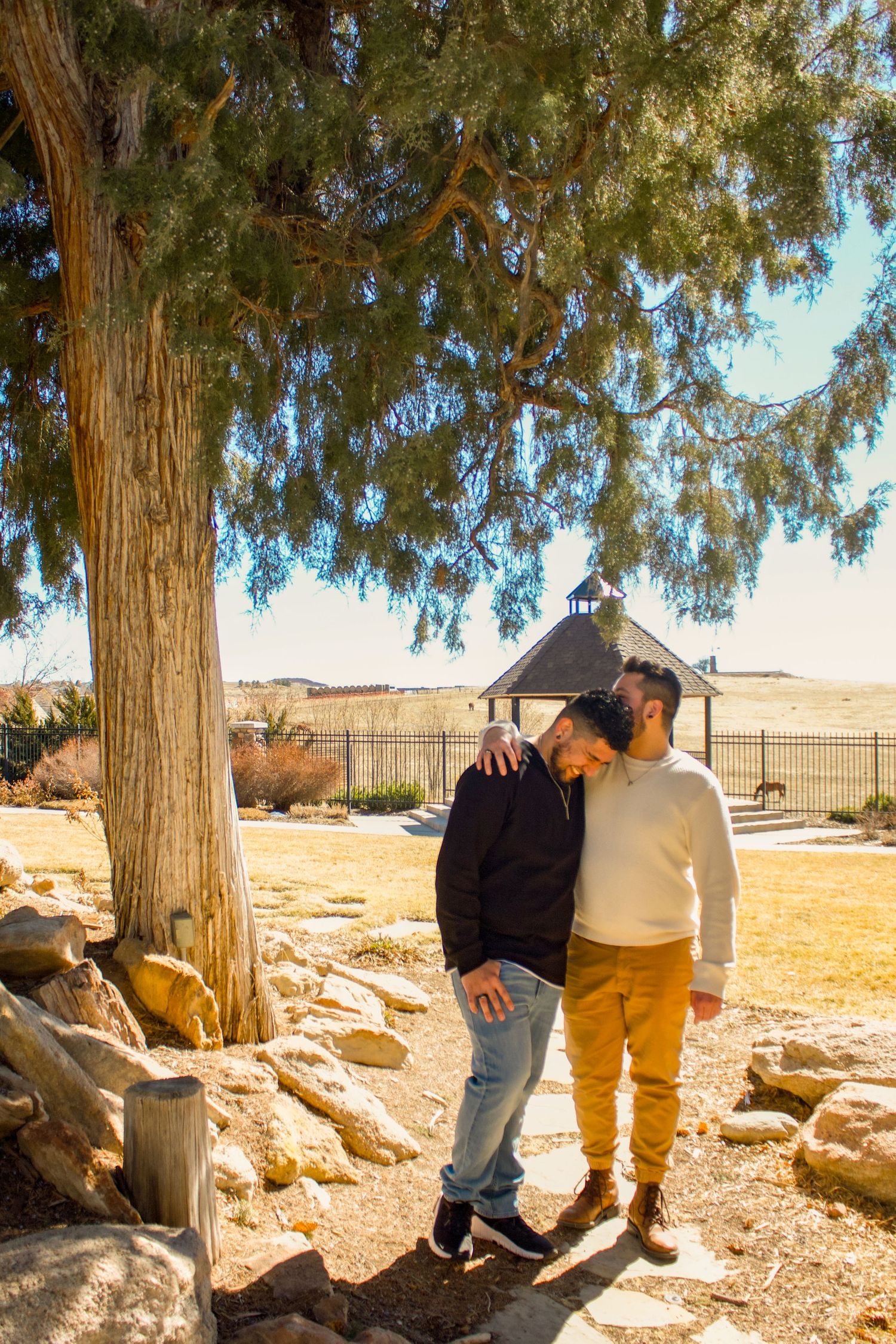 A couple stands close together under a evergreen tree on rocky terrain.