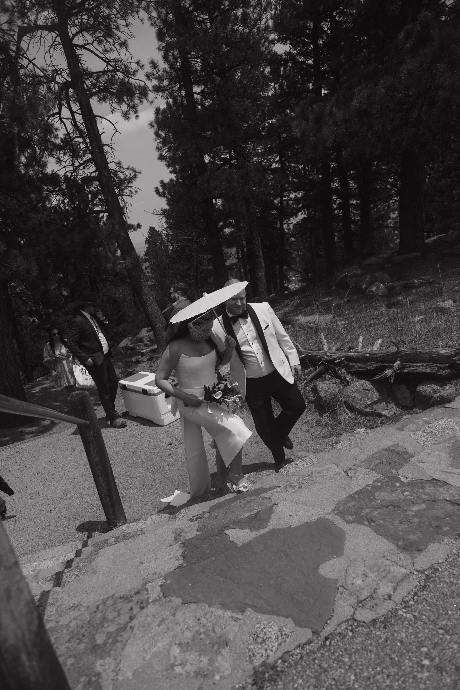 Bride in white dress and parasol walks with groom in white tuxedo on stone path through pine trees.
