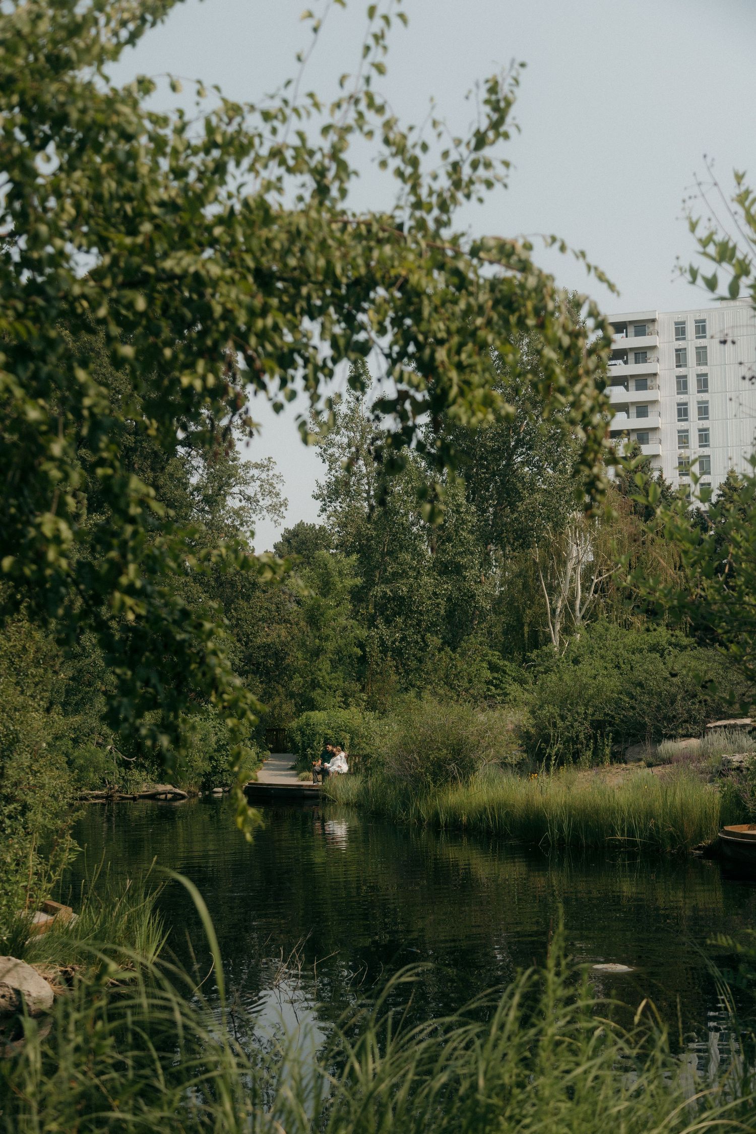 Lush green park with a serene pond reflecting trees and a modern building visible through the foliage.