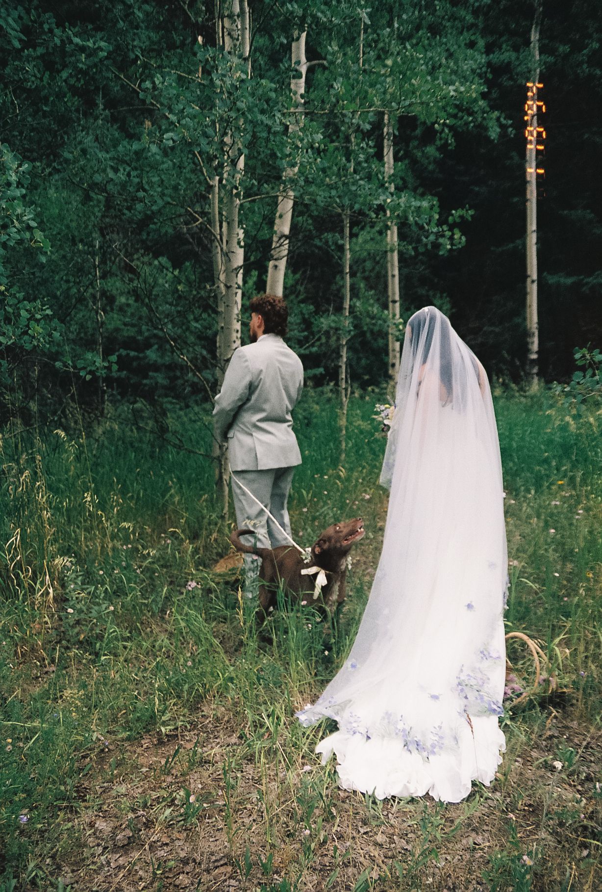 Bride in floral veil and groom walking dog through aspen forest on wedding day.