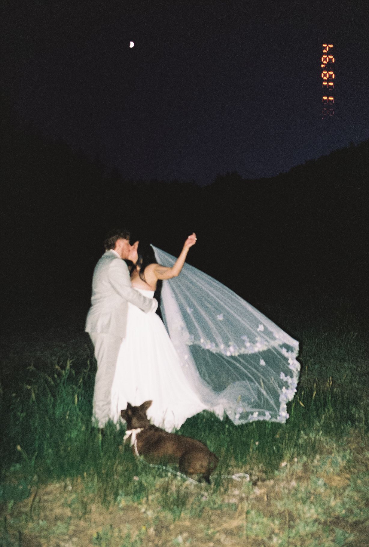 Bride and groom kissing under moonlit night sky with wedding veil flowing in the wind and dog nearby.
