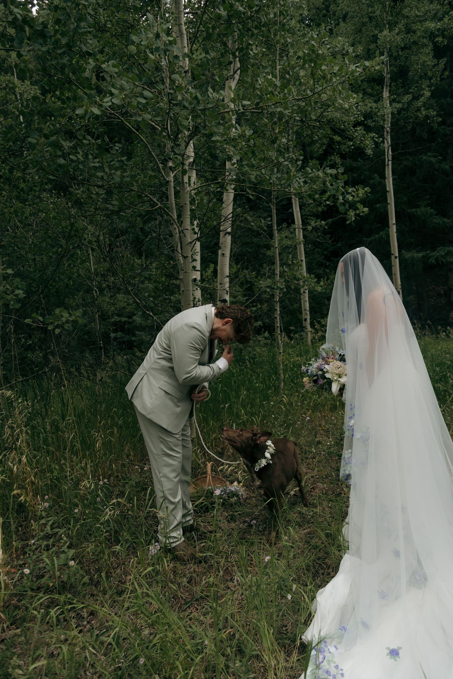 Groom in sage suit petting brown dog with flower crown as bride in white veil stands nearby.