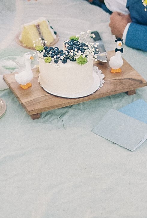 White wedding cake topped with blueberries and baby's breath on wooden tray, flanked by duck figurines on beach blanket.