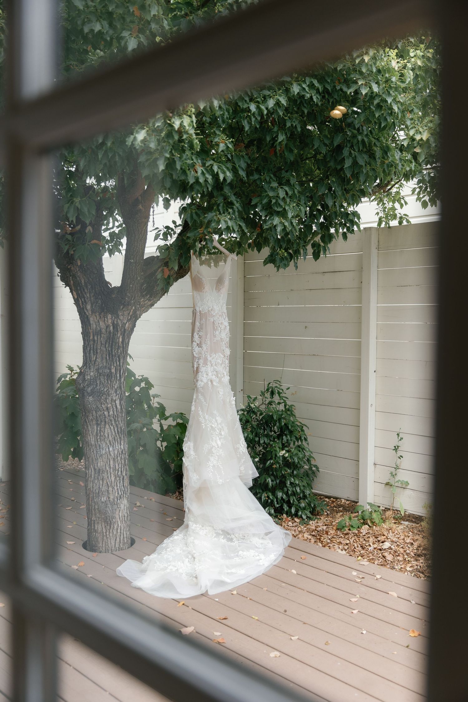 A white lace wedding dress hangs elegantly from a tree branch against a beige wall in an outdoor setting.