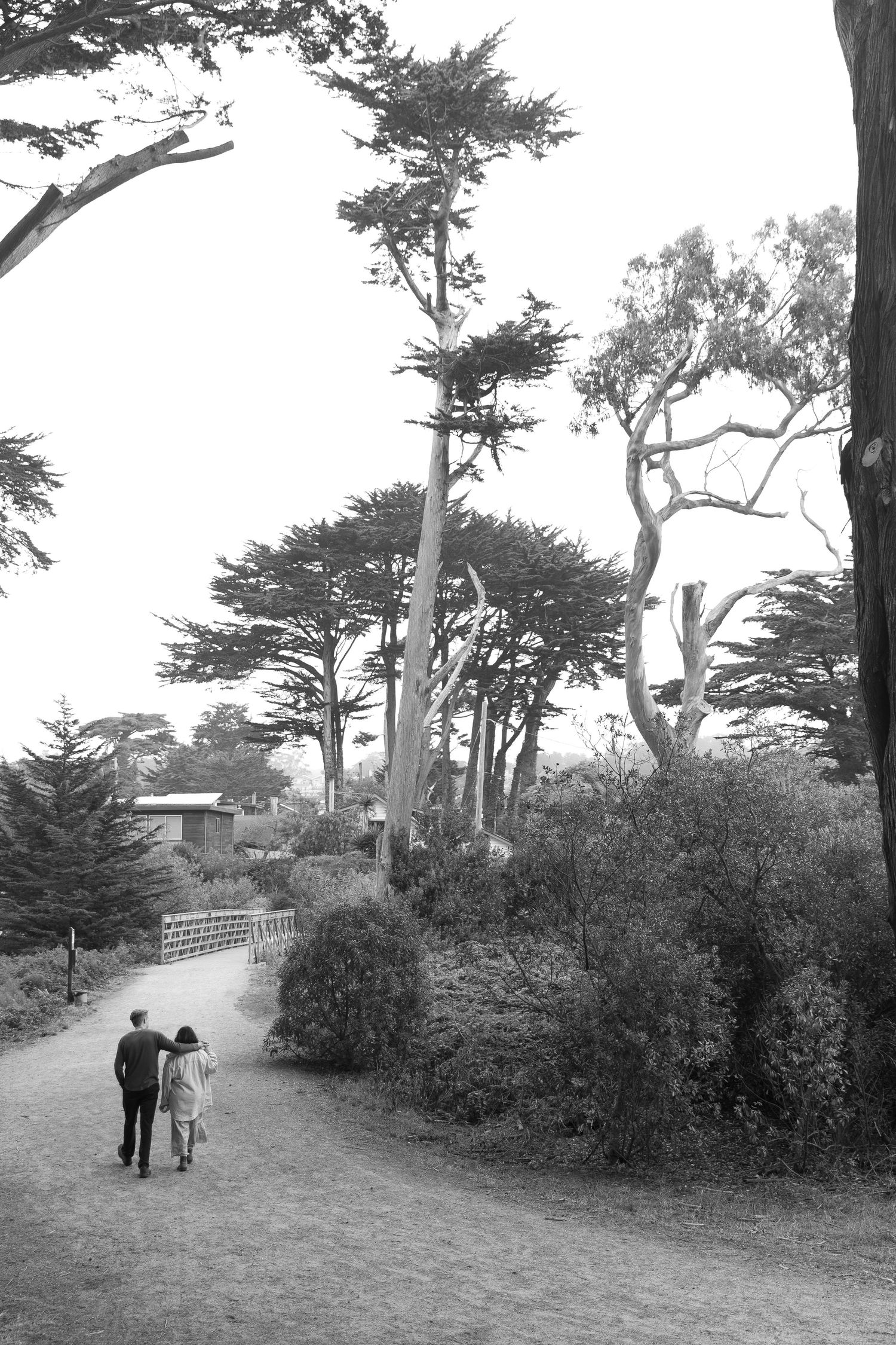 Black and white photo of two people walking on a path surrounded by tall trees.