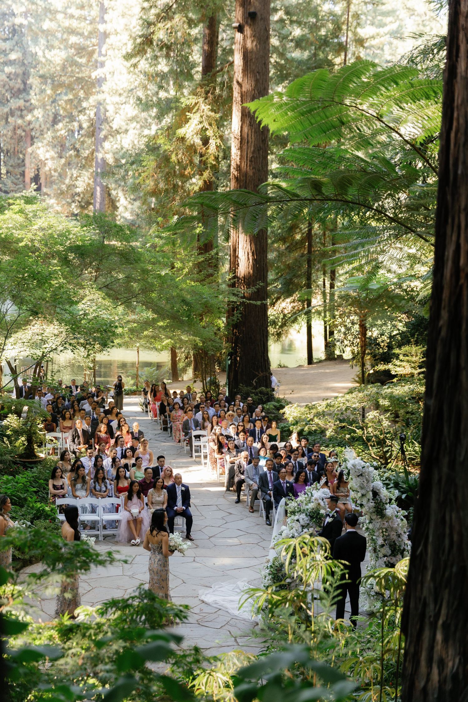A crowd gathers for an outdoor wedding ceremony beneath tall redwood trees on a paved pathway decorated with floral arrangements.