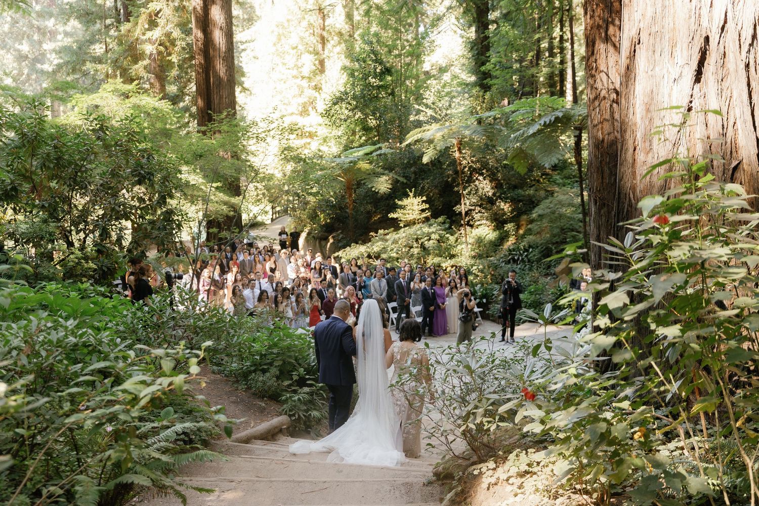 Wedding ceremony takes place in a magical redwood forest setting with sunlight filtering through tall trees.