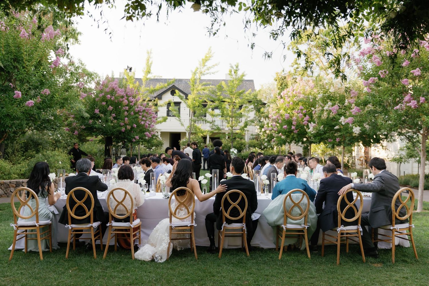 Wedding guests seated at elegant outdoor dining tables beneath blooming pink trees at a garden reception.