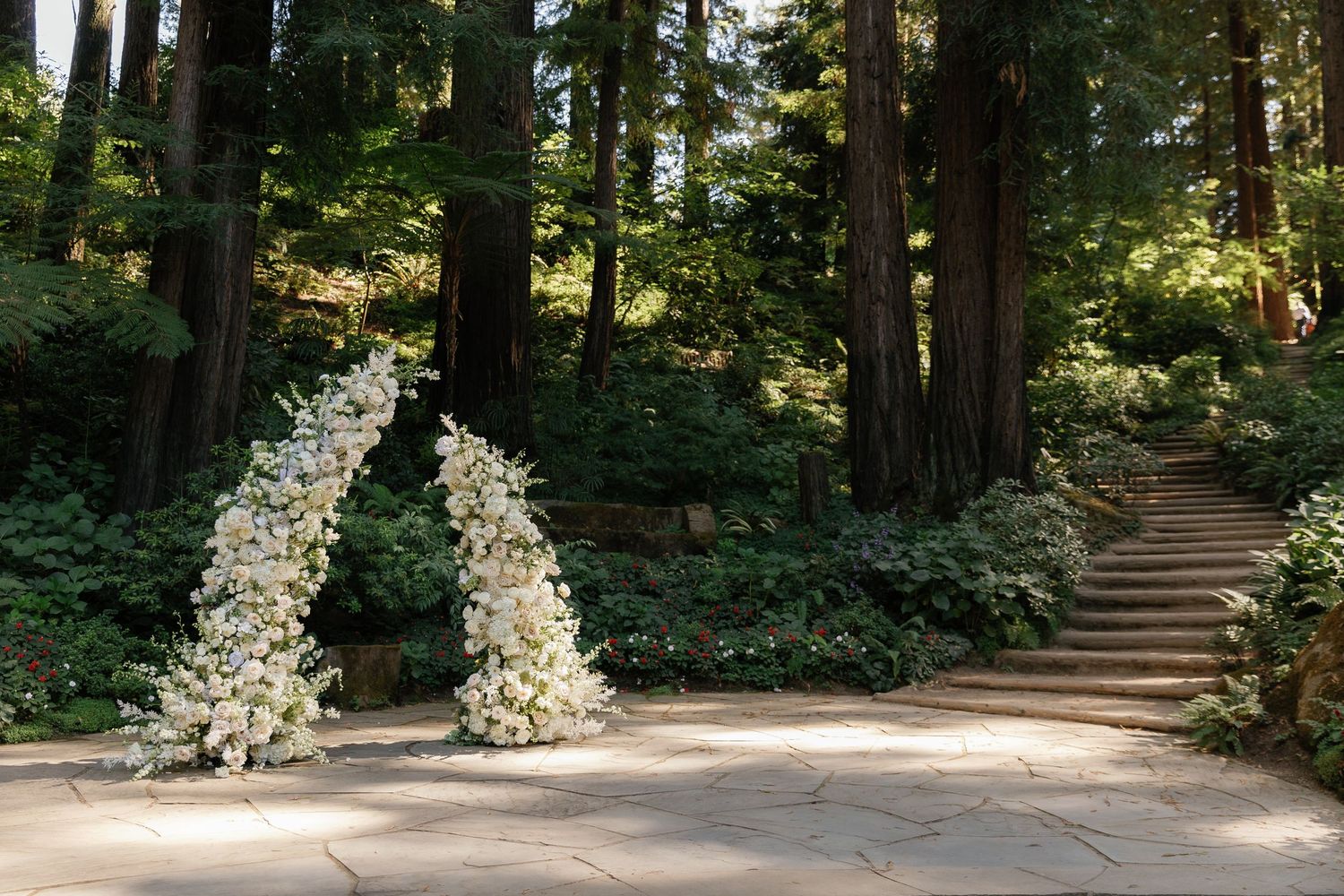 Tall evergreen trees line a wooden staircase ascending through a tranquil forest path in natural sunlight.