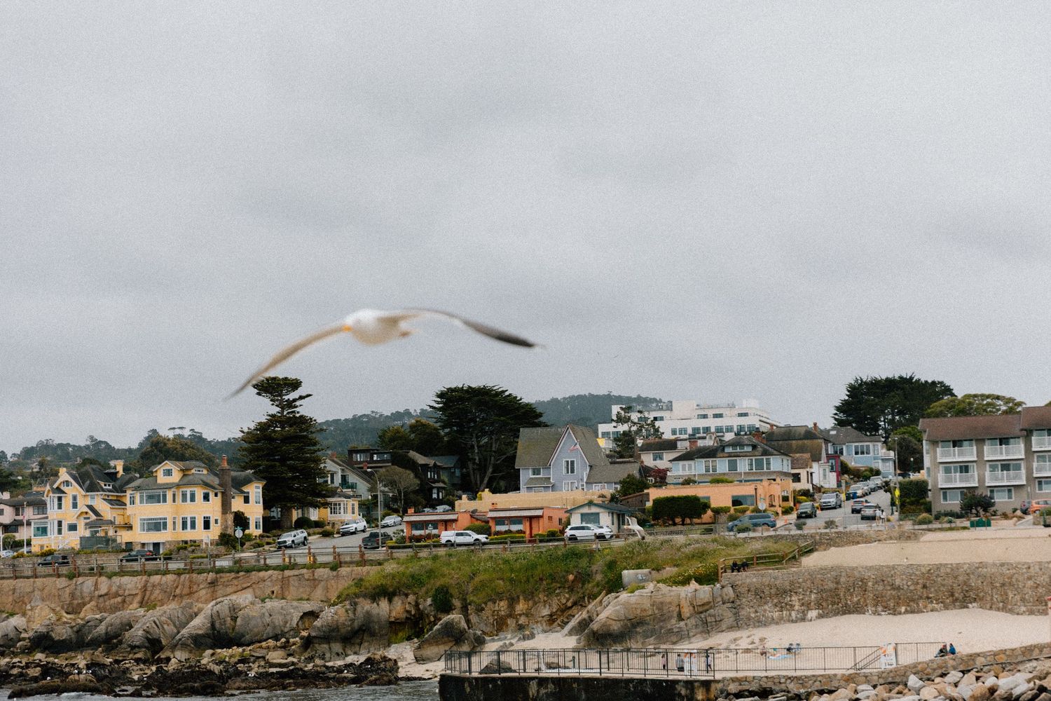 Panoramic view of coastal homes and buildings along a rocky Pacific shoreline on a cloudy day.