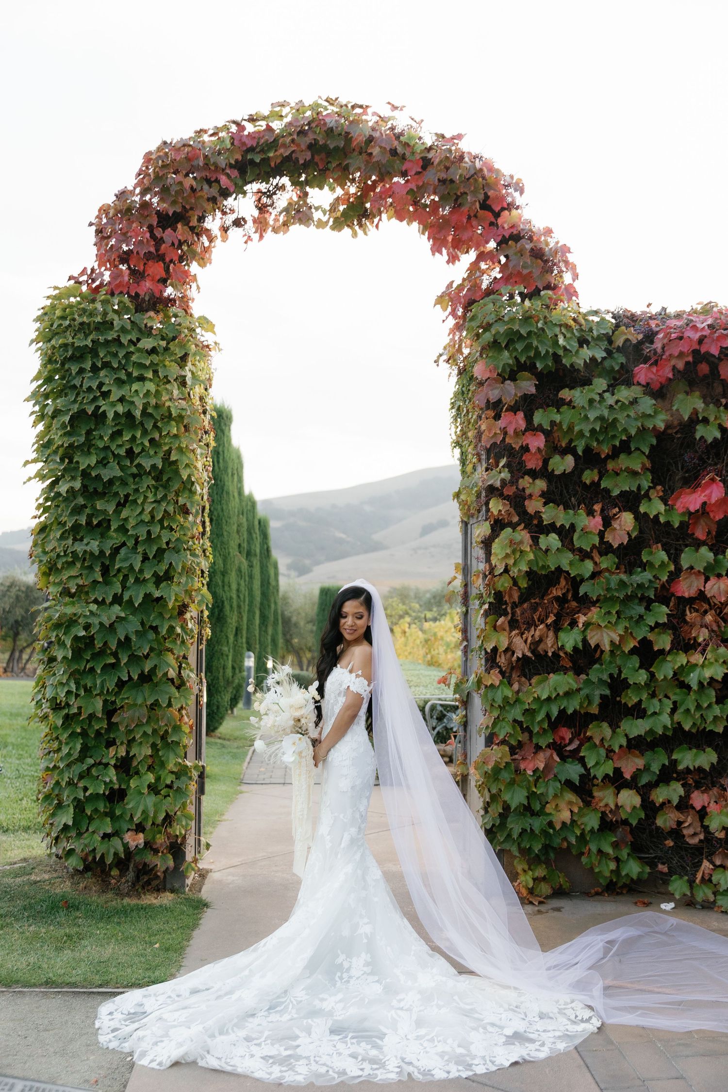 A stunning bridal portrait series showcasing a flowing white wedding dress against red vine-covered pillars.