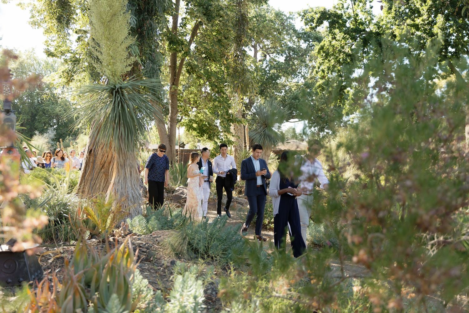 Outdoor garden setting with trees and greenery creating a natural backdrop for an event.