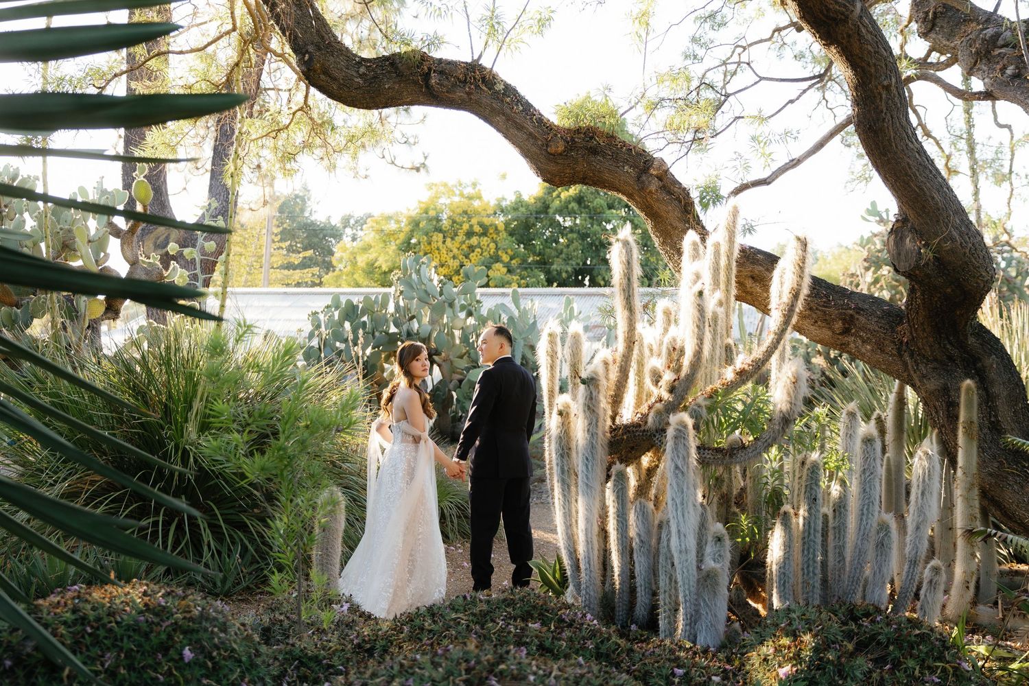 An outdoor wedding ceremony setting with towering trees creating a natural cathedral effect.