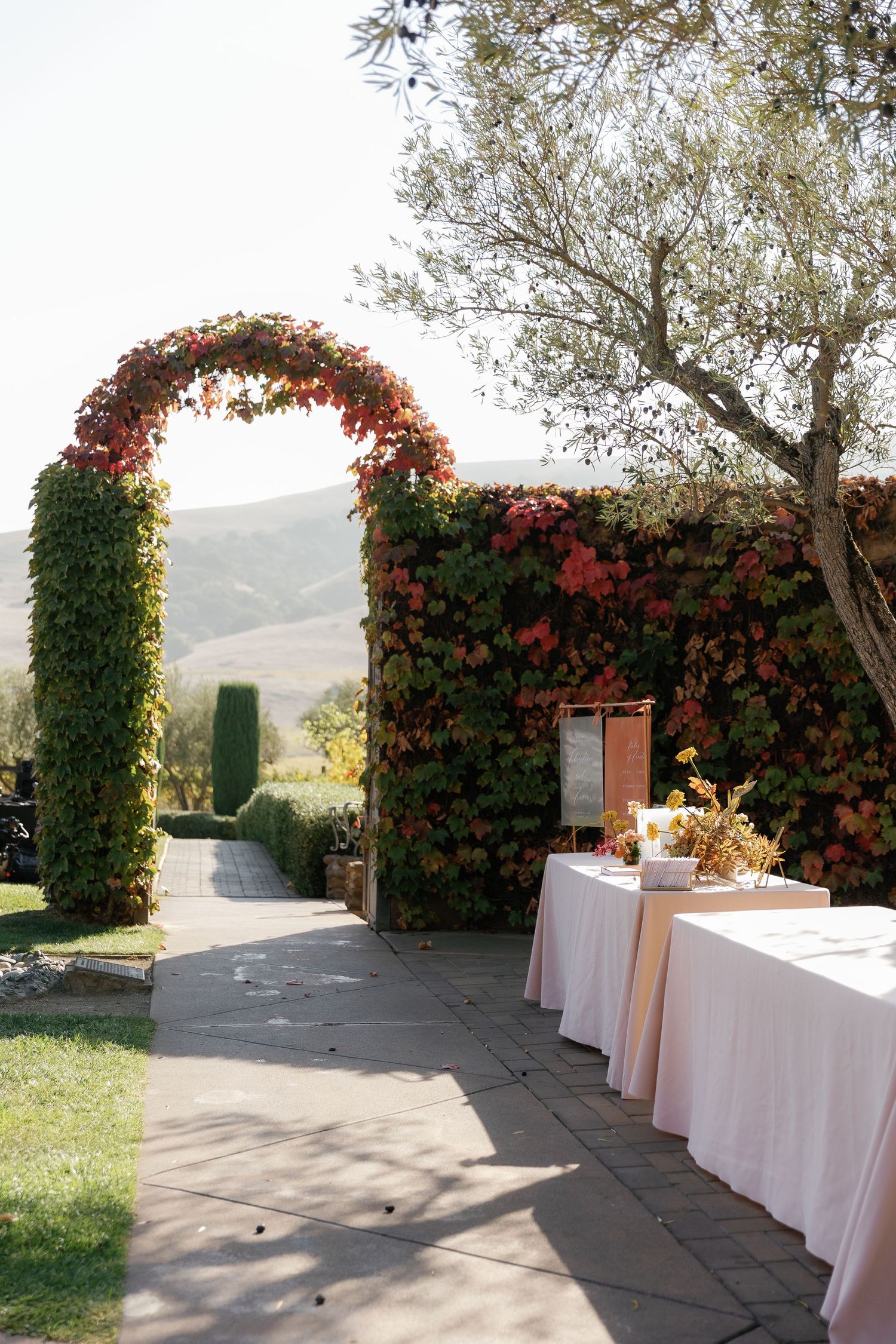 Outdoor terrace with white-clothed tables lined against a wall covered in vibrant red climbing vines and greenery.