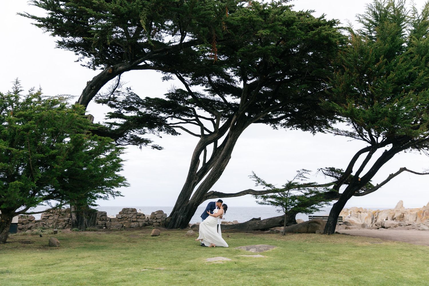 A windswept cypress tree frames a romantic wedding scene along the California coast.