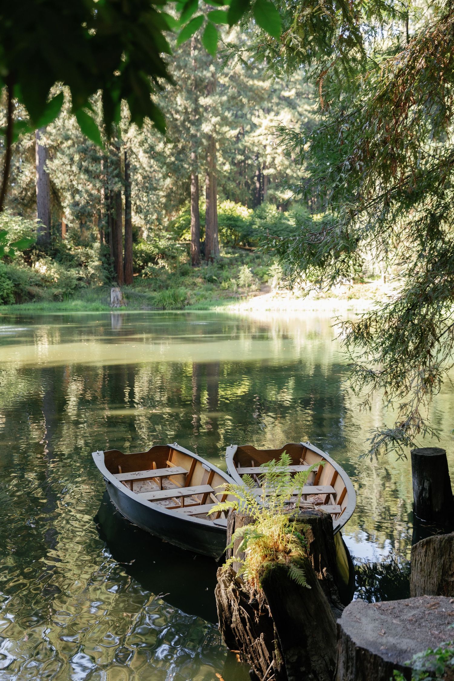 A serene lake scene with wooden rowboats moored along a tree-lined shore in dappled sunlight.