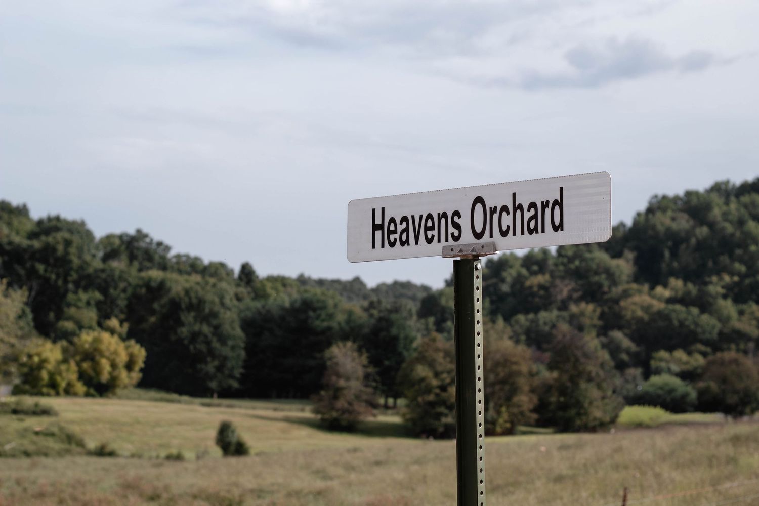 A sign reading Heavens Orchard stands in a rural landscape with lush green trees and open fields under a cloudy sky.