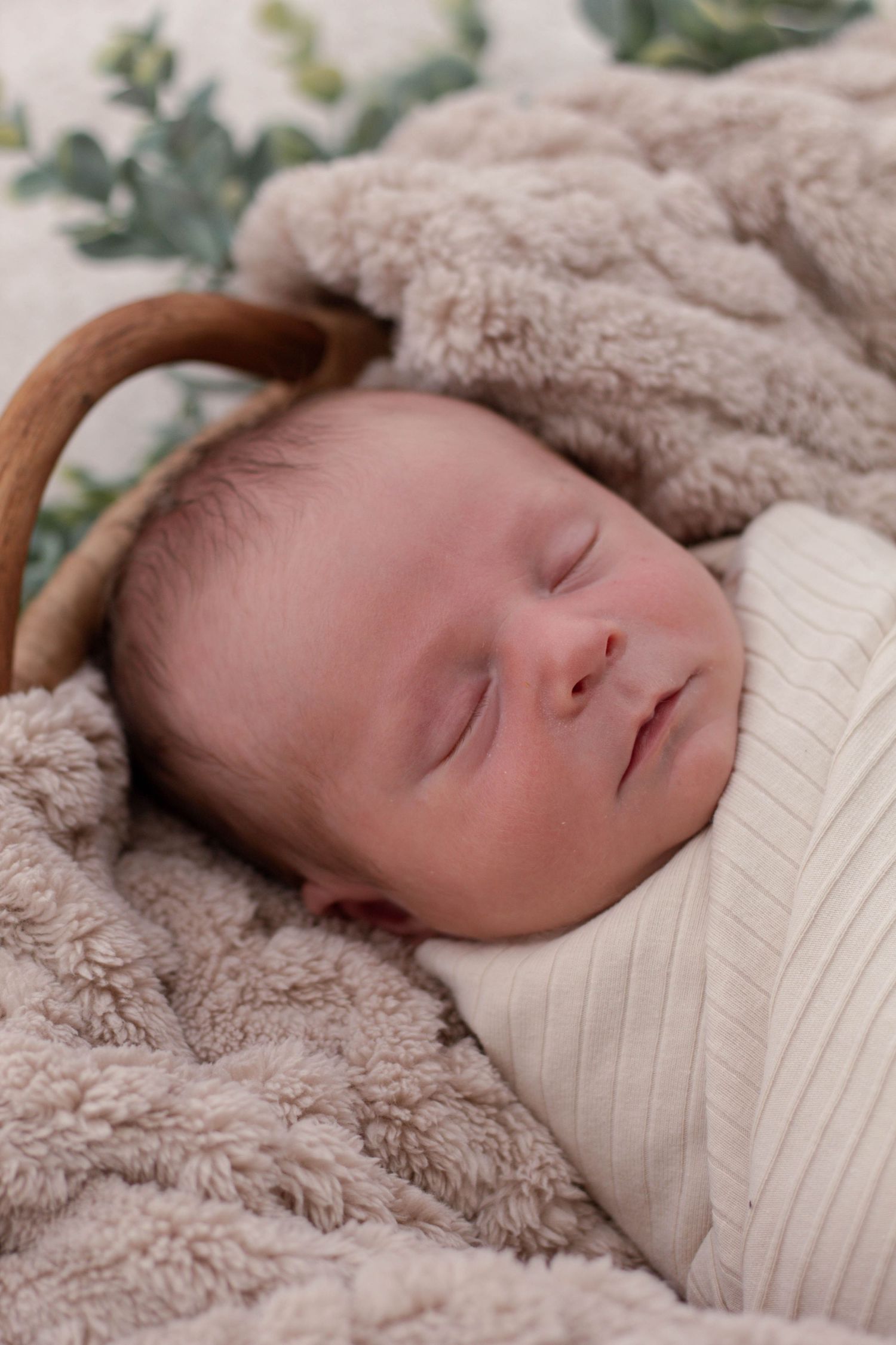A peaceful sleeping baby wrapped in a white swaddle rests on a plush beige blanket with eucalyptus leaves in the background.