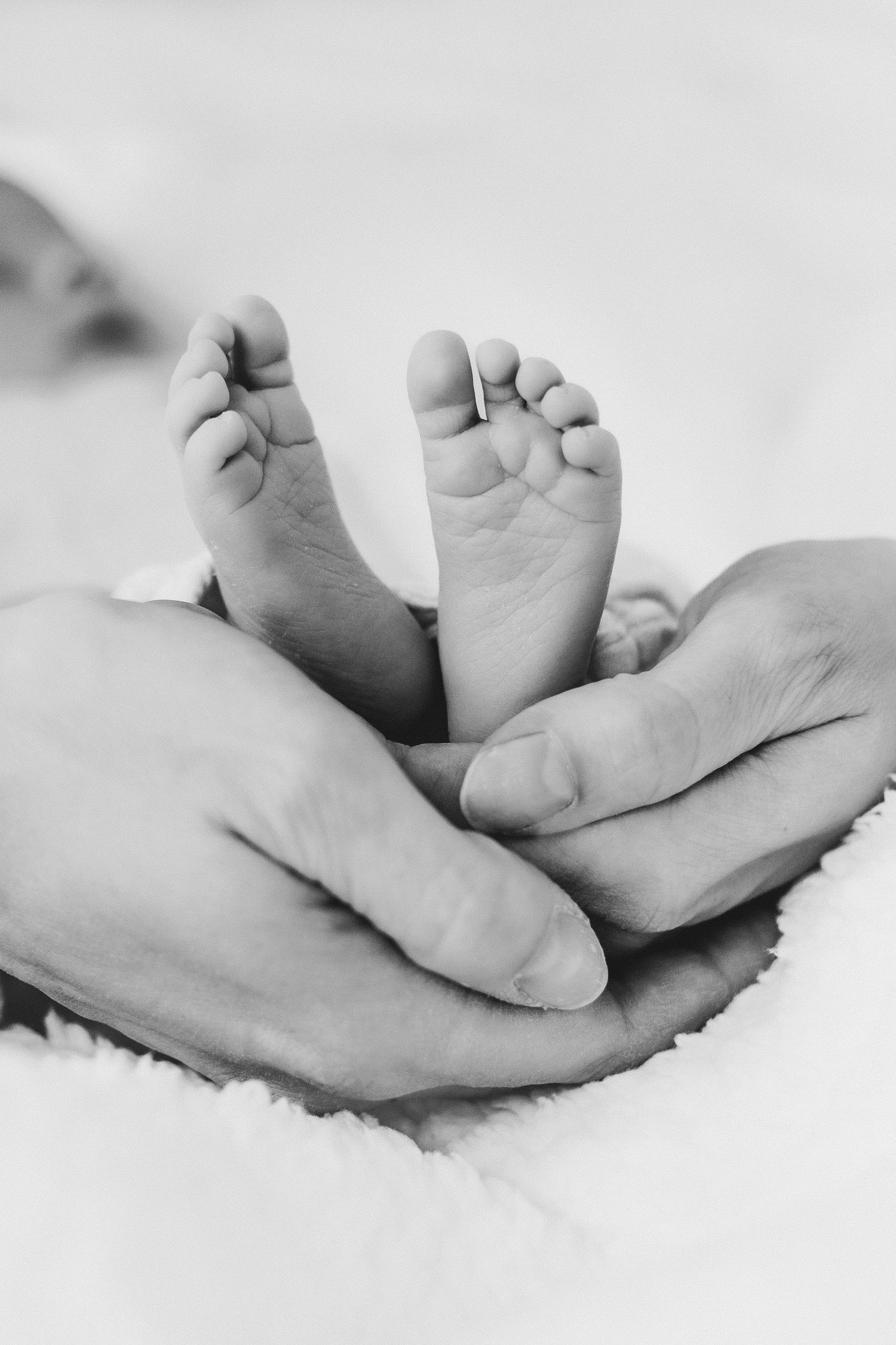 Tiny newborn feet rest gently in adult hands against white background.
