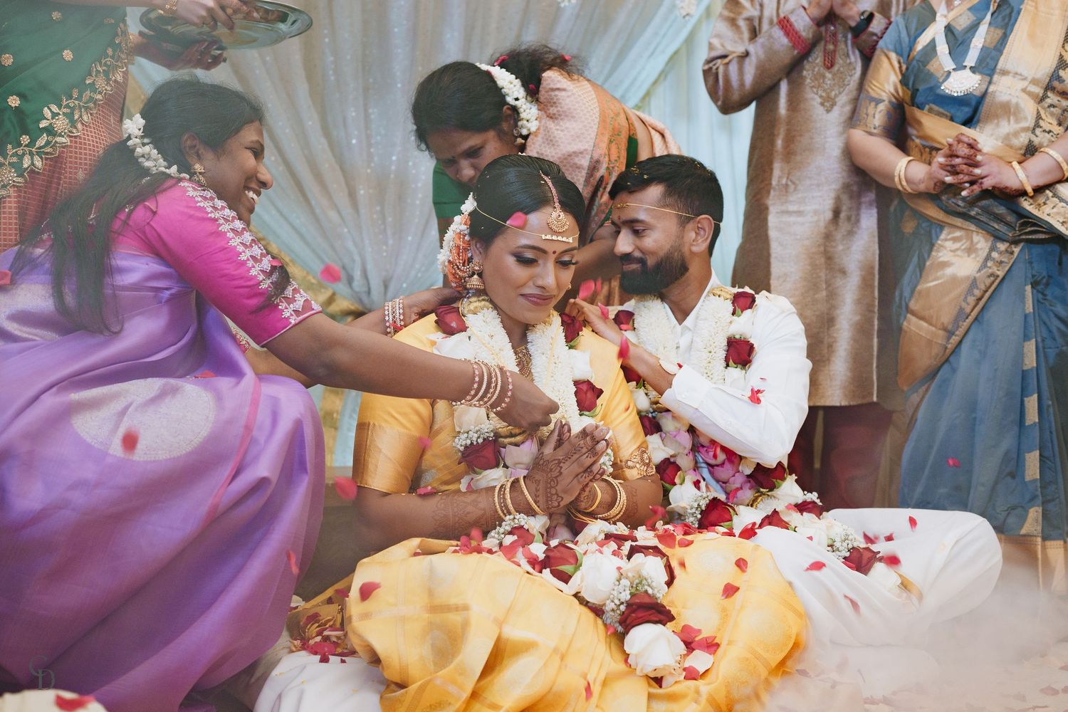 Joyous wedding ceremony with guests throwing rose petals during traditional Indian rituals.