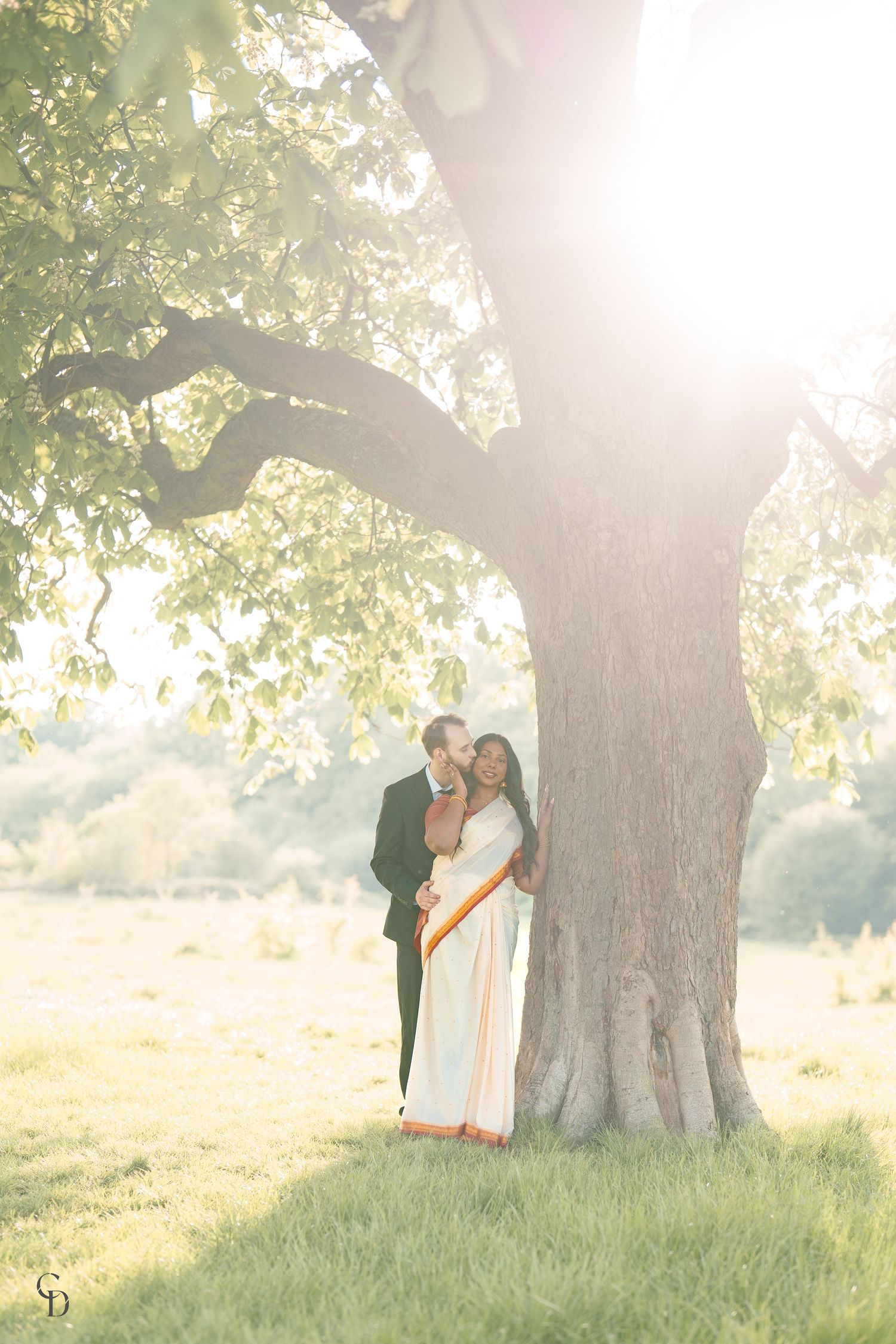 Elegant couple poses beneath massive tree during dreamy sunset photoshoot.