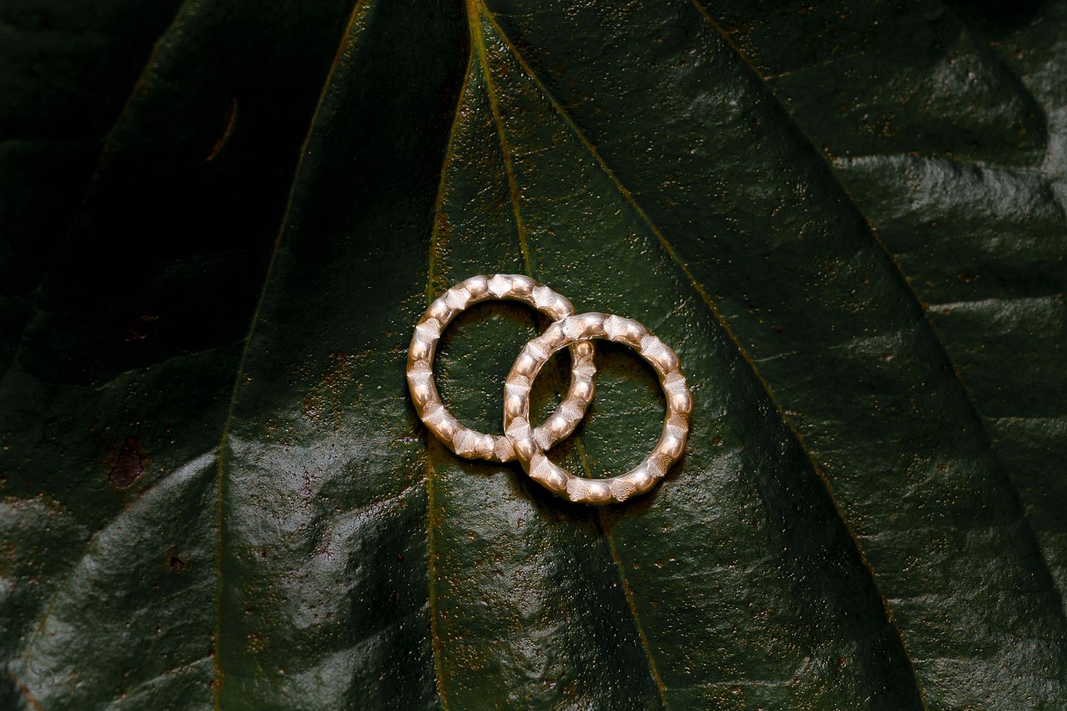 Two pearl wedding rings arranged on a dark green leaf with water droplets.