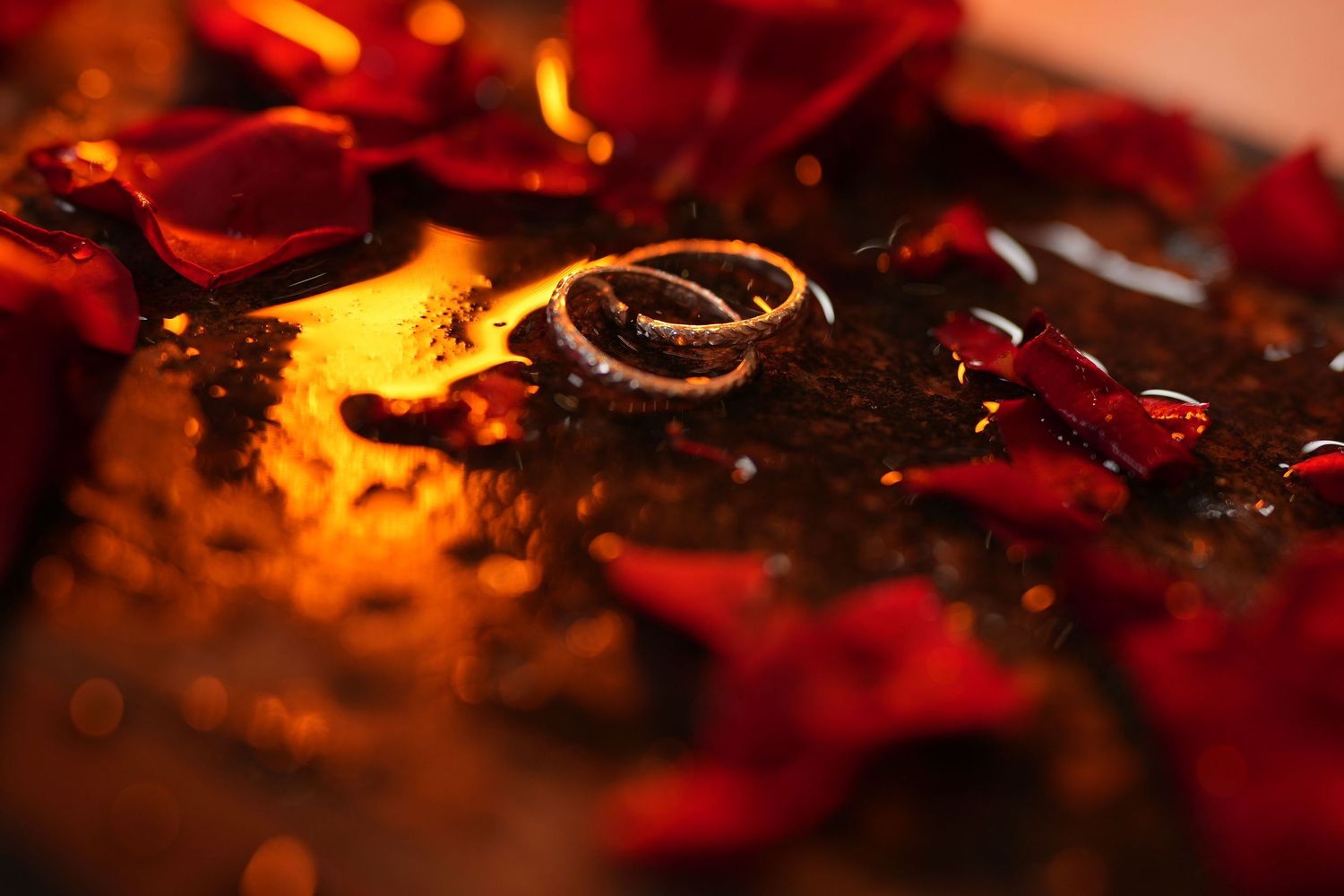 Two wedding rings resting on a dark surface surrounded by red rose petals in warm golden light.