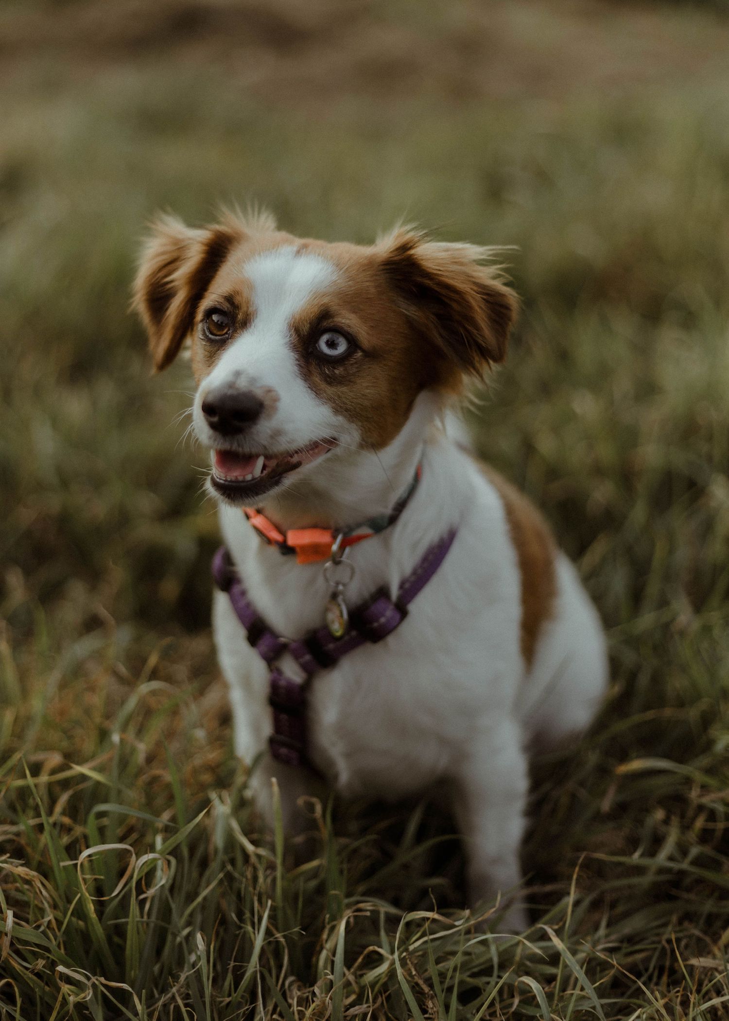 Gainesville photographer