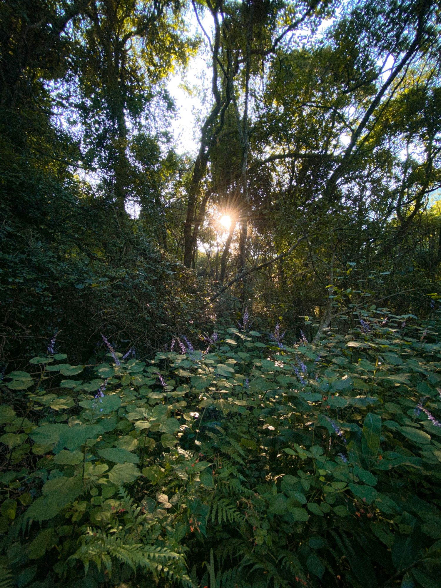 North central florida photographer
