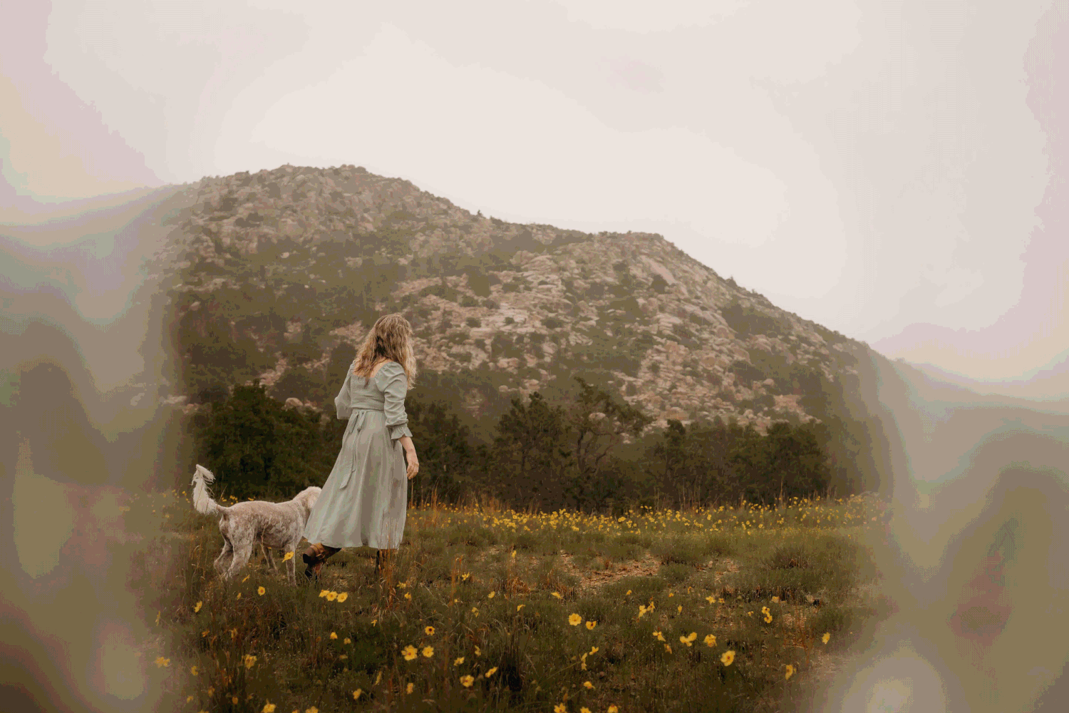 Wichita Wildlife Mountains Refuge Altus Oklahoma Family Session Photoshoot Lawton, Indiahoma, Medicine Park, Dogs pets furbaby, rainy cloudy