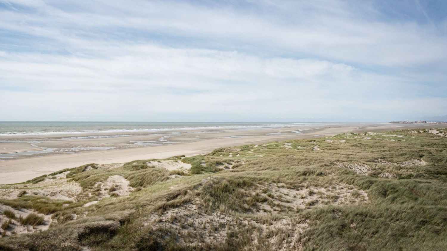 Coastal landscape with sandy beach dunes and grassy vegetation stretches along the North Sea shoreline under cloudy skies.