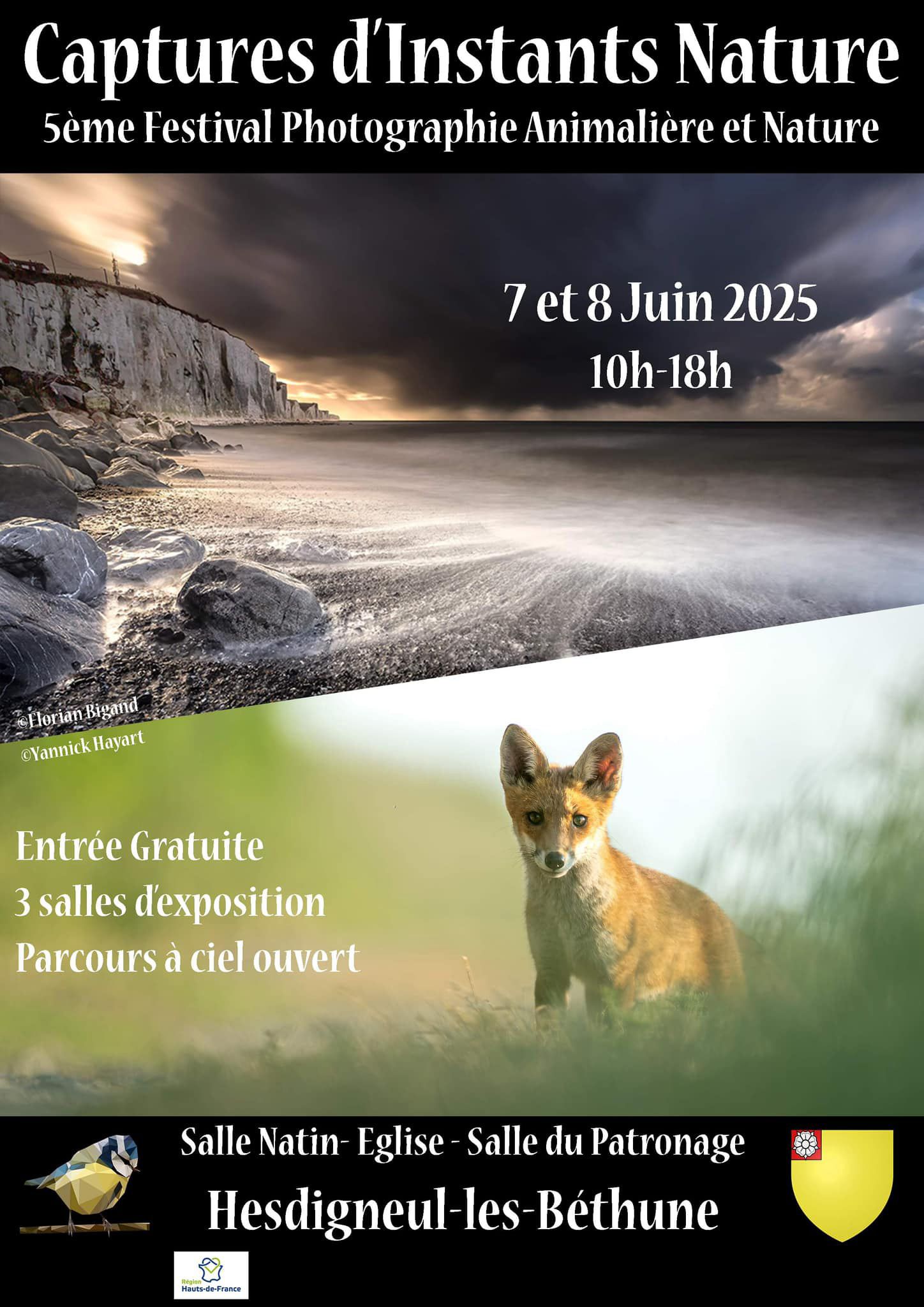 Nature photography festival poster featuring a fox and bird against misty green backgrounds with French text and event details.
