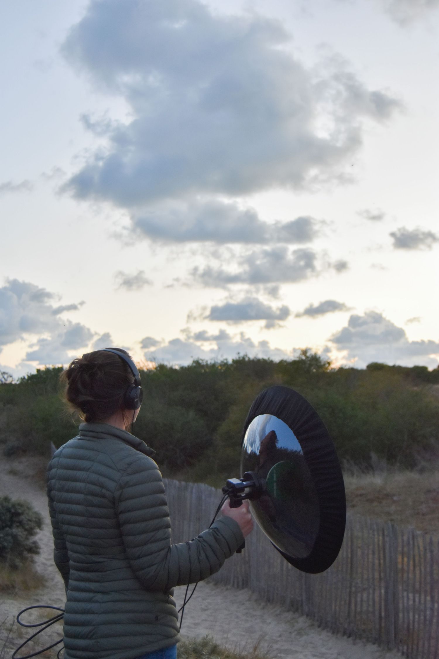 Person using a parabolic microphone outdoors at dusk, wearing headphones to record nature sounds.
