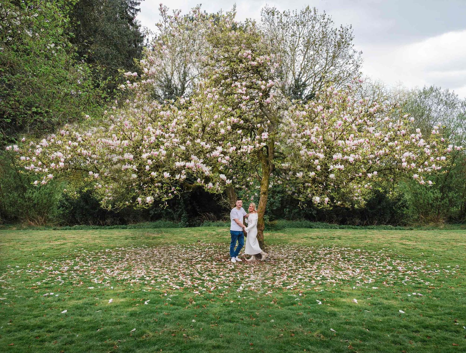 A couple stand beneath a blooming white cherry blossom tree during their engagement photoshoot.