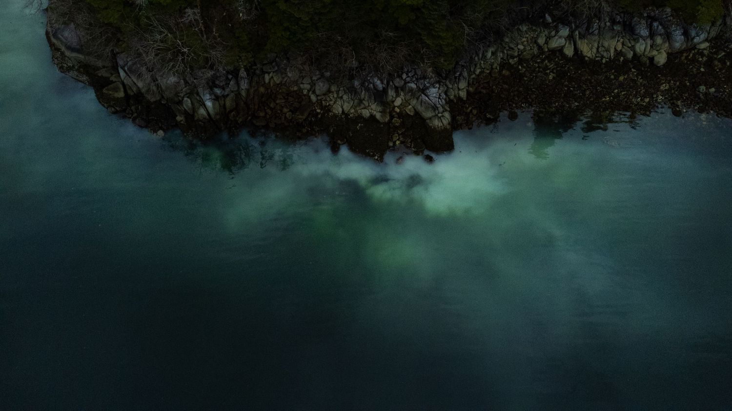 Aerial view of dark teal water reflecting dense green trees along a mysterious, fog-covered shoreline.